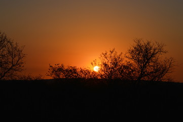 Fototapeta premium A South African Sunset