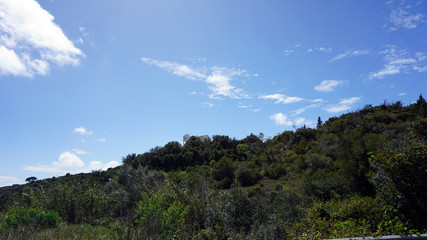 green algarve landscape