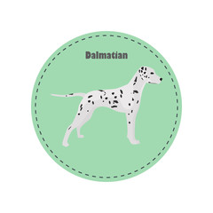 Dalmatian dog color flat icon for web and mobile design