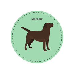 Labrador color flat icon for web and mobile design