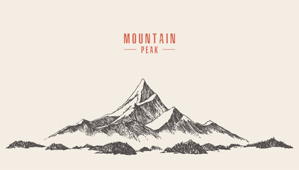Vector mountain peak pine forest hand drawn - obrazy, fototapety, plakaty