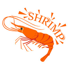 Shrimp cartoon with text for food flavor