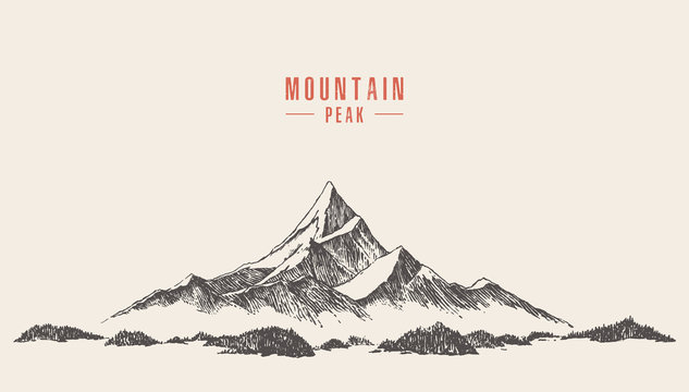 Vector Mountain Peak Pine Forest Hand Drawn