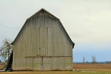 Obraz premium Old Grey and Mossy Wooden Barn in the Country, Pale Blue Overcast Sky, Daytime - Full front, left screen composition - Use barn area for copy overlay with or without text box (HDR Image)