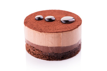 Sweet and tasty chocolate cake on the white background.