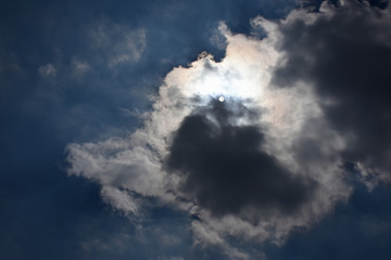 雲から透けて見える太陽と青空「空想・巨大モンスターの顔（太陽が目）・狸、鳥のヒナなど」右上の雲などに文字入れスペース