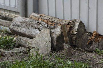 Fototapeta na wymiar Old shovel? stone and moldering wood beside the wall.