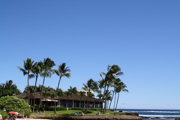 Obraz premium Hawaii