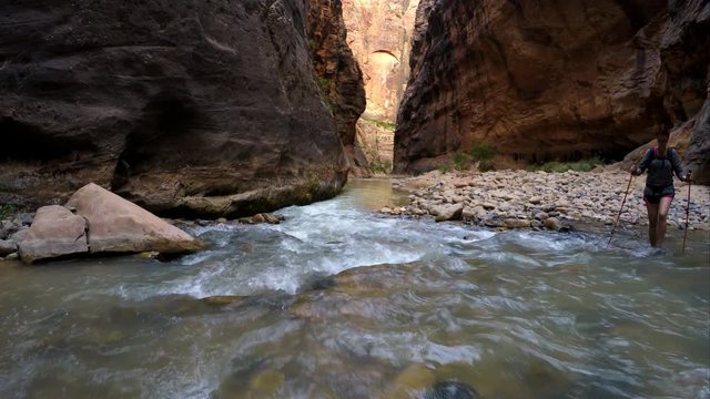 Woman Hiking in Water through the Zion Narrows