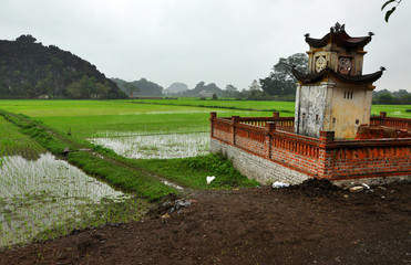 Fototapeta na wymiar Rice fields and limestone rocks in Vietnam