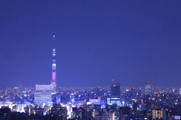 Tokyo night view