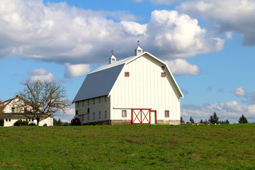 Fototapeta premium Large White Barn with Red Trim, Vivid Green Grass/Blue Sky, Bright White Clouds, Daytime - Center frame, front quarter viewpoint (HDR Image)