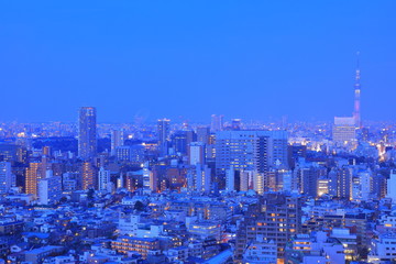 Obraz premium Tokyo night view