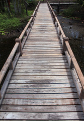 Fototapeta premium Wooden bridge in forest over the swamp, Thailand