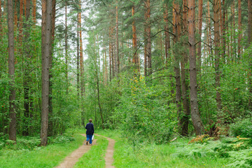 lone man walking slowly through the woods