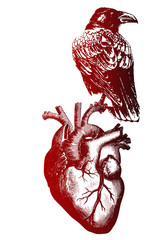 татуировка сердце и ворон - obrazy, fototapety, plakaty
