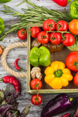 Set of vegetables in the tray