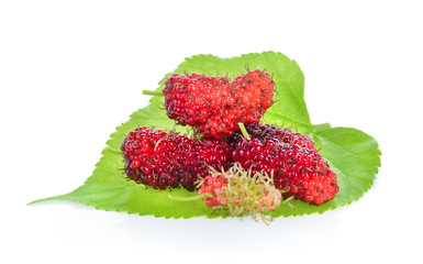 Mulberry on white background