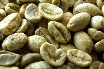 Traditional not roasted coffee beans.