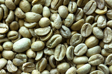 Traditional not roasted coffee beans.