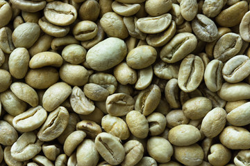 Traditional not roasted coffee beans.