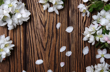  Spring flowers on wood