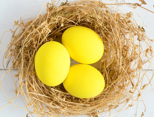 Bright colored dyed eggs on wooden table. Happy Easter eggs card