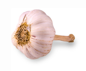 Garlic isolated on white background.