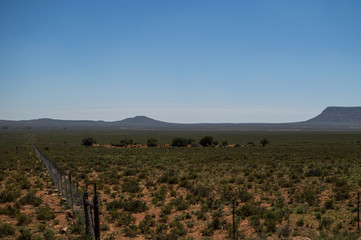 Naklejka premium Prairie Landscape, Free State, South Africa