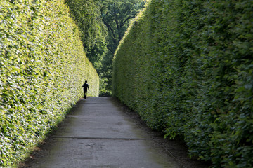 large green alley labyrinth of hedges