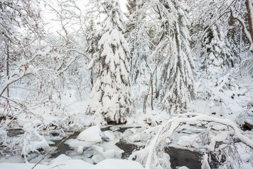 an bridge over the river in the valley