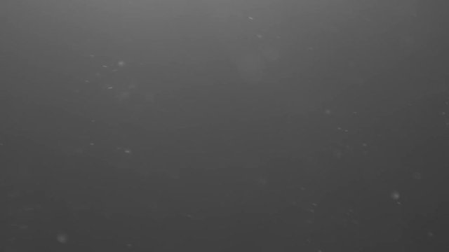 Slow motion of dust particles explosion with light flare from above, 180fps prores footage