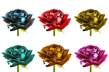 Pack of colored surreal wet rose flowers macro isolated on white - Powered by Adobe
