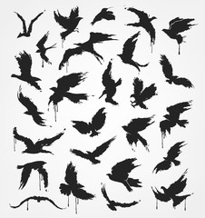 figures of flying birds in grunge style