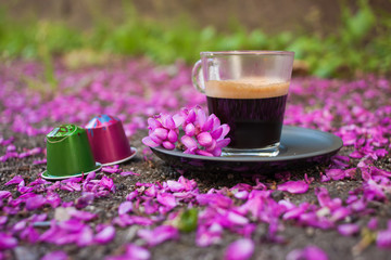 A cup of coffee on the ground covered with pink petals. Green and pink coffee capsules.