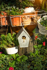 birdhouse nestles among spring flowers