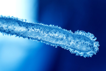 Icicle, close-up. Beautiful background.