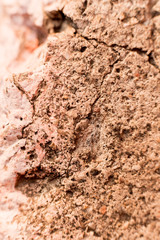 Close-up of fabric and paint. Canvas.