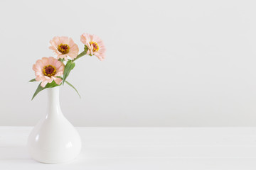 Bouquet of zinnia flowers on white background