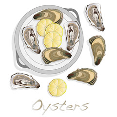 Fresh oyster image set