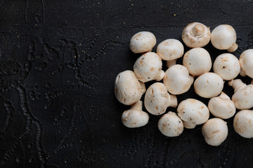 Mushrooms on black cement. Mushrooms on a concrete background