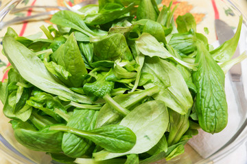 Bowl of lettuce leaves