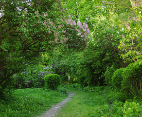 Path to the beautiful spring garden
