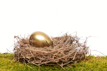 golden egg inside small nest . Happy Easter concept