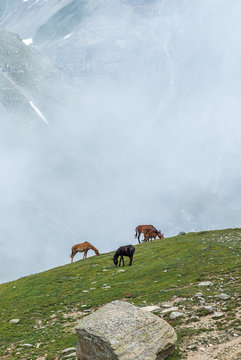 Beautiful landscape on the Leh - Manali highway near the Rohtang Pass - Tibet, Himalayas, Himachal Pradesh, Northern India