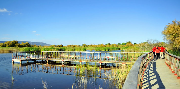 Visita al Parque Nacional Tablas de Daimiel, Espa&ntilde;a
