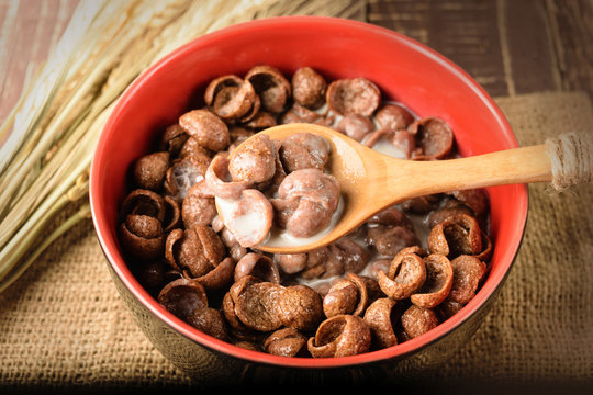 creal choco in bowl closeup