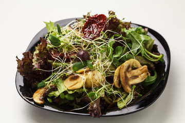 Delicious vegetable salad mixed with mushrooms, greens,  sprouts, lettuce on plate