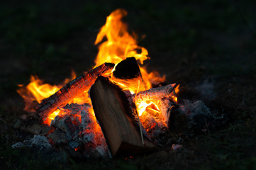 fire in nature