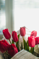 Bright red tulips in the newspaper